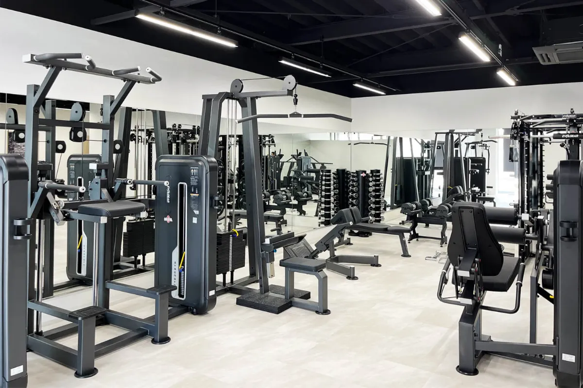 GORILLA GYM