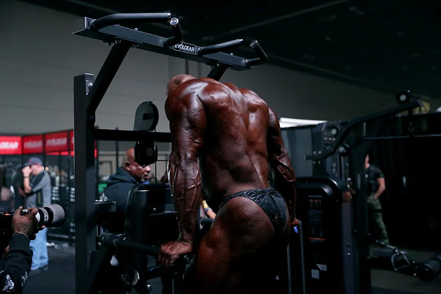 OLYMPIA EVOLGEAR