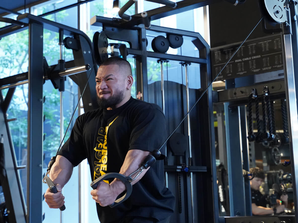 evc-117a | EVOLGEAR（エヴォルギア）