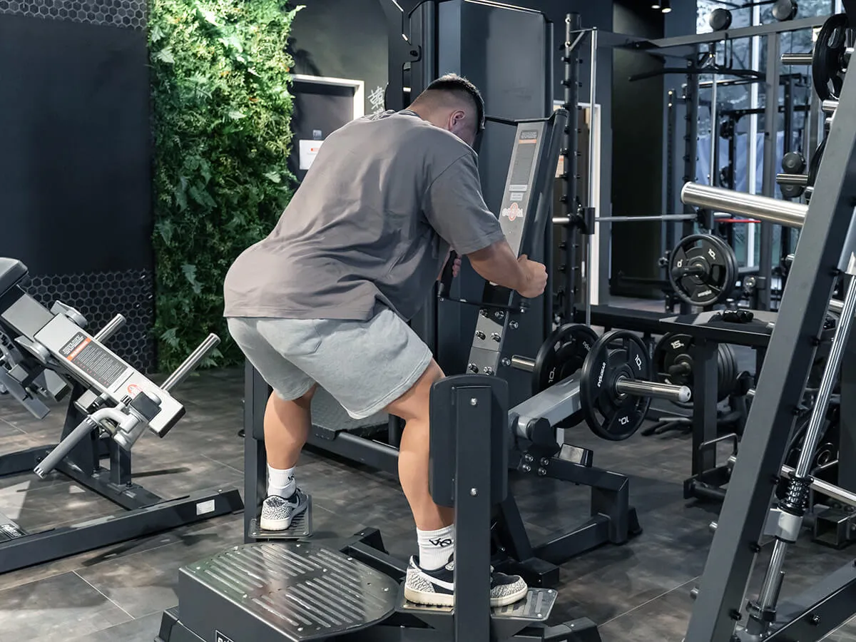 evp-d082 | EVOLGEAR（エヴォルギア）