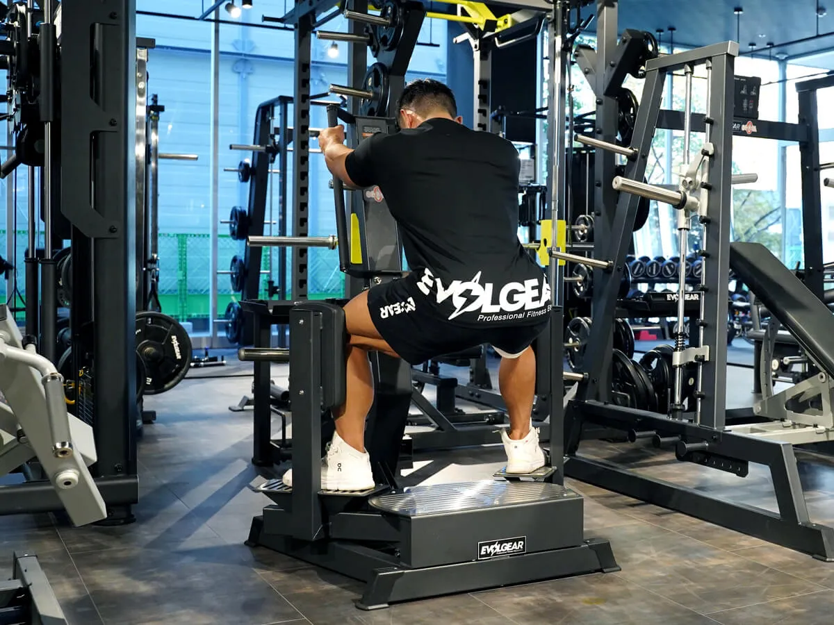 evp-d082 | EVOLGEAR（エヴォルギア）